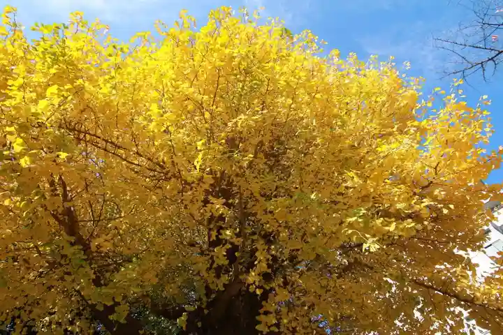 晴門田神社の自然