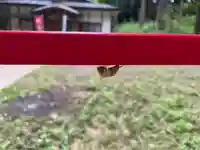 大宮温泉神社(栃木県)