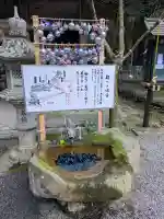 大水上神社の{uncategorized: "未分類", other: "その他", undefined: "問題あり", building: "その他建物", grave: "お墓", sacred_gate: "鳥居", guardian: "狛犬", statue: "像", buddha: "仏像", history: "歴史", nature: "自然", garden: "庭園", animal: "動物", pagoda: "塔", temizu: "手水舎", mountain_gate: "山門・神門", sanctuary: "本殿・本堂", subordinate: "末社・摂社", art: "芸術", scenery: "景色", jizo: "地蔵", ema: "絵馬", goshuin: "御朱印", omikuji: "おみくじ", items: "授与品その他", amulet: "お守り", goshuincho: "御朱印帳", eats: "食事", festival: "お祭り", votive_dance: "神楽", shichigosan: "七五三参", wedding: "結婚式", experience: "体験その他", initially: "初詣", around: "周辺", anti_infection: "感染症対策"}