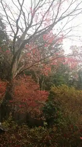 水使神社の自然