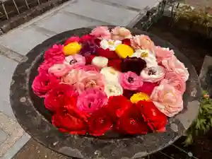 真言宗 善通寺派 薬王寺(香川県)(2025年04月18日(金) 11時59分06秒投稿)