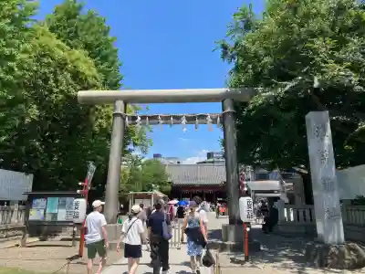 浅草神社の鳥居