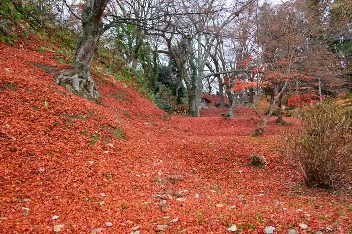 三春大神宮の自然