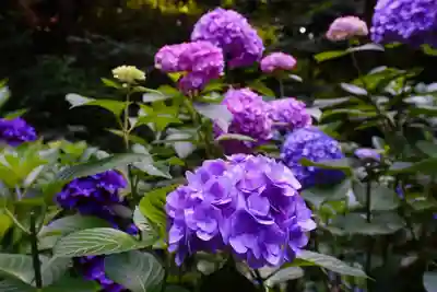 杉山谷不動尊(京都府)