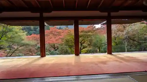 高山寺(京都府)