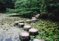 平安神宮の庭園