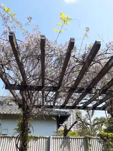 させん堂不動寺(大阪府)