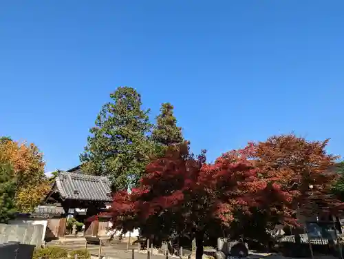 恵林寺の建物その他