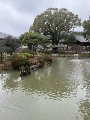 太宰府天満宮の{uncategorized: "未分類", other: "その他", undefined: "問題あり", building: "その他建物", grave: "お墓", sacred_gate: "鳥居", guardian: "狛犬", statue: "像", buddha: "仏像", history: "歴史", nature: "自然", garden: "庭園", animal: "動物", pagoda: "塔", temizu: "手水舎", mountain_gate: "山門・神門", sanctuary: "本殿・本堂", subordinate: "末社・摂社", art: "芸術", scenery: "景色", jizo: "地蔵", ema: "絵馬", goshuin: "御朱印", omikuji: "おみくじ", items: "授与品その他", amulet: "お守り", goshuincho: "御朱印帳", eats: "食事", festival: "お祭り", votive_dance: "神楽", shichigosan: "七五三参", wedding: "結婚式", experience: "体験その他", initially: "初詣", around: "周辺", anti_infection: "感染症対策"}