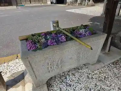 浅沼八幡宮(栃木県)