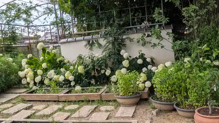 おふさ観音(観音寺)(奈良県)