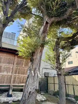 東神社の{uncategorized: "未分類", other: "その他", undefined: "問題あり", building: "その他建物", grave: "お墓", sacred_gate: "鳥居", guardian: "狛犬", statue: "像", buddha: "仏像", history: "歴史", nature: "自然", garden: "庭園", animal: "動物", pagoda: "塔", temizu: "手水舎", mountain_gate: "山門・神門", sanctuary: "本殿・本堂", subordinate: "末社・摂社", art: "芸術", scenery: "景色", jizo: "地蔵", ema: "絵馬", goshuin: "御朱印", omikuji: "おみくじ", items: "授与品その他", amulet: "お守り", goshuincho: "御朱印帳", eats: "食事", festival: "お祭り", votive_dance: "神楽", shichigosan: "七五三参", wedding: "結婚式", experience: "体験その他", initially: "初詣", around: "周辺", anti_infection: "感染症対策"}
