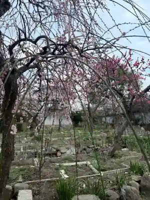 石光寺(奈良県)