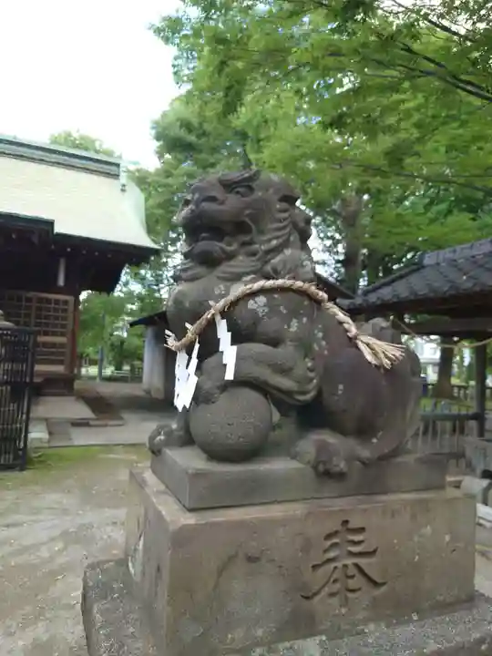 三ツ和氷川神社の狛犬
