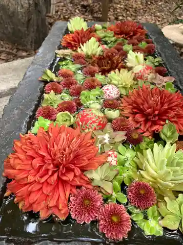 行田八幡神社の手水