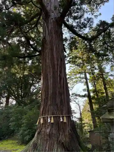 八幡宮(富山県)