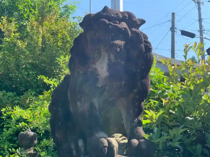 須賀神社の狛犬