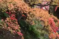 三春大神宮の自然