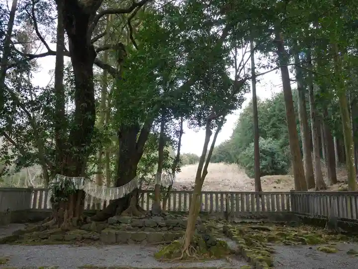 山宮浅間神社(静岡県)