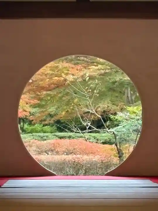 明月院(神奈川県)