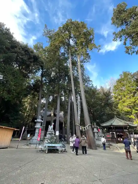豊川閣 妙厳寺のその他建物