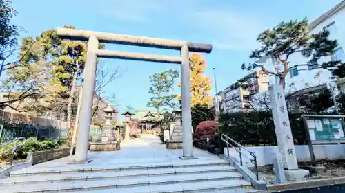桜神宮の鳥居