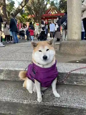 笠䅣稲荷神社(神奈川県)