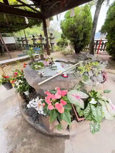 このみ白雲大社(岡山県)