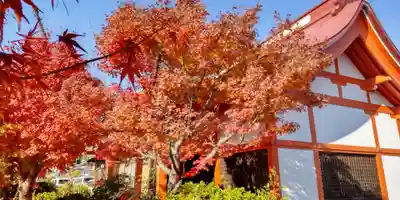 八幡神社（矢納神社）(大阪府)