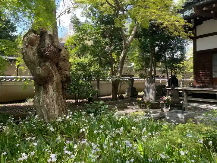 東福寺の{uncategorized: "未分類", other: "その他", undefined: "問題あり", building: "その他建物", grave: "お墓", sacred_gate: "鳥居", guardian: "狛犬", statue: "像", buddha: "仏像", history: "歴史", nature: "自然", garden: "庭園", animal: "動物", pagoda: "塔", temizu: "手水舎", mountain_gate: "山門・神門", sanctuary: "本殿・本堂", subordinate: "末社・摂社", art: "芸術", scenery: "景色", jizo: "地蔵", ema: "絵馬", goshuin: "御朱印", omikuji: "おみくじ", items: "授与品その他", amulet: "お守り", goshuincho: "御朱印帳", eats: "食事", festival: "お祭り", votive_dance: "神楽", shichigosan: "七五三参", wedding: "結婚式", experience: "体験その他", initially: "初詣", around: "周辺", anti_infection: "感染症対策"}