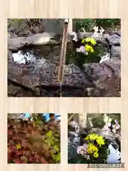 阿智神社の手水