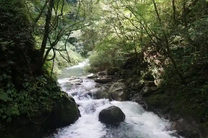 天岩戸神社の自然