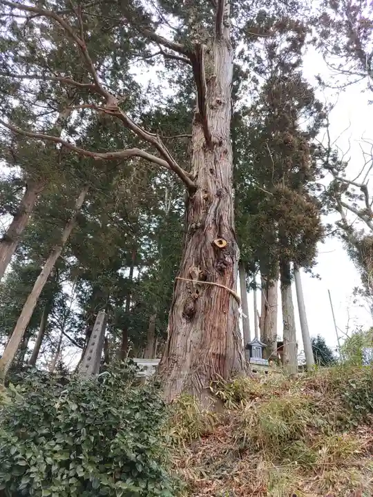 阿久津「田村神社」(郡山市阿久津町)旧社名:伊豆箱根三嶋三社(福島県)