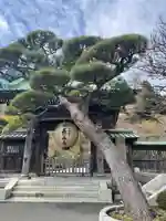長谷寺の山門・神門