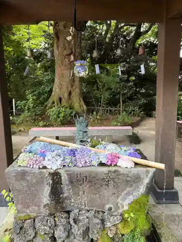 二本松寺(茨城県)