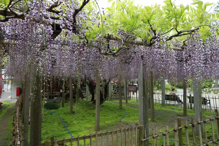 惣社神社(滋賀県)