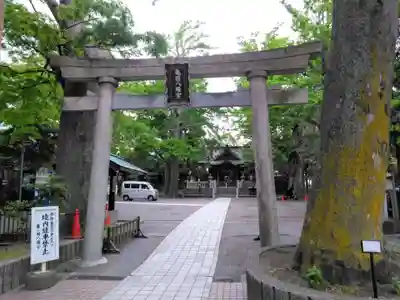 亀岡八幡宮(亀岡八幡神社)(神奈川県)