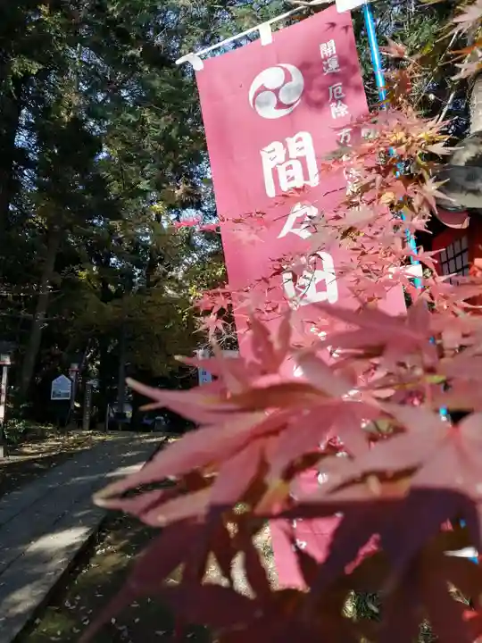 間々田八幡宮の自然