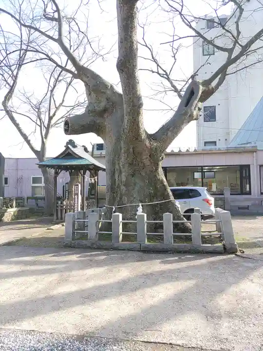 阿邪訶根神社(福島県)