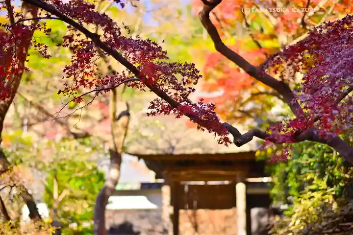 円覚寺(神奈川県)