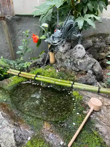 東光寺別院桜ヶ池不動院の{uncategorized: "未分類", other: "その他", undefined: "問題あり", building: "その他建物", grave: "お墓", sacred_gate: "鳥居", guardian: "狛犬", statue: "像", buddha: "仏像", history: "歴史", nature: "自然", garden: "庭園", animal: "動物", pagoda: "塔", temizu: "手水舎", mountain_gate: "山門・神門", sanctuary: "本殿・本堂", subordinate: "末社・摂社", art: "芸術", scenery: "景色", jizo: "地蔵", ema: "絵馬", goshuin: "御朱印", omikuji: "おみくじ", items: "授与品その他", amulet: "お守り", goshuincho: "御朱印帳", eats: "食事", festival: "お祭り", votive_dance: "神楽", shichigosan: "七五三参", wedding: "結婚式", experience: "体験その他", initially: "初詣", around: "周辺", anti_infection: "感染症対策"}