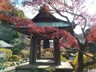 海蔵寺(神奈川県)