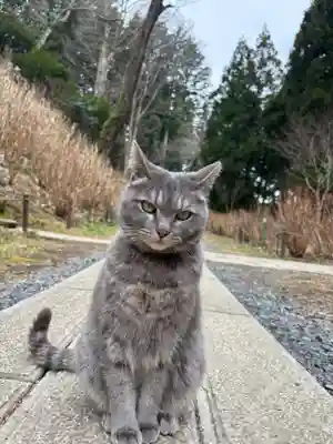 鷲子山上神社(栃木県)