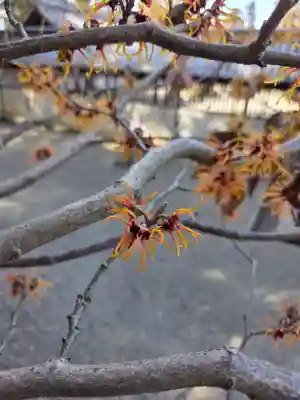 沙沙貴神社(滋賀県)