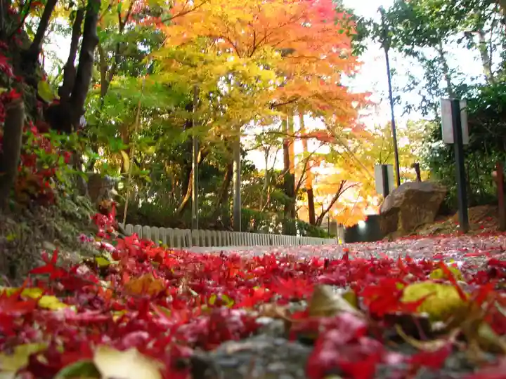 安養寺のその他建物