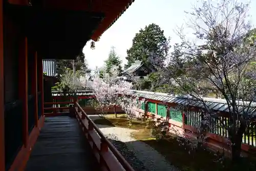 毘沙門堂門跡(京都府)