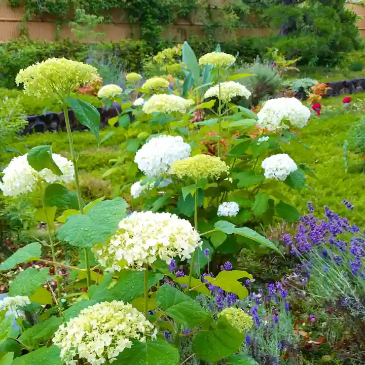 寿量山 速成寺(奈良県)