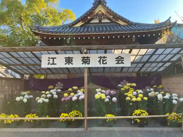 亀戸天神社(東京都)