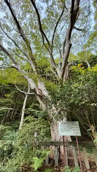 函館八幡宮(北海道)