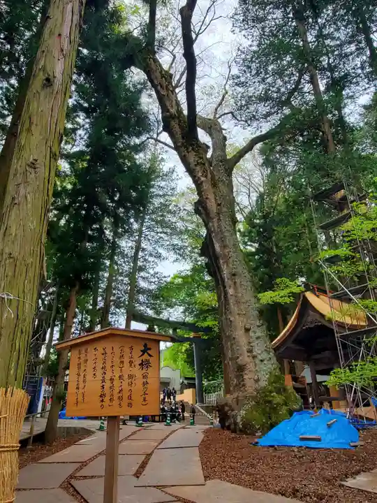 諏訪大社の自然